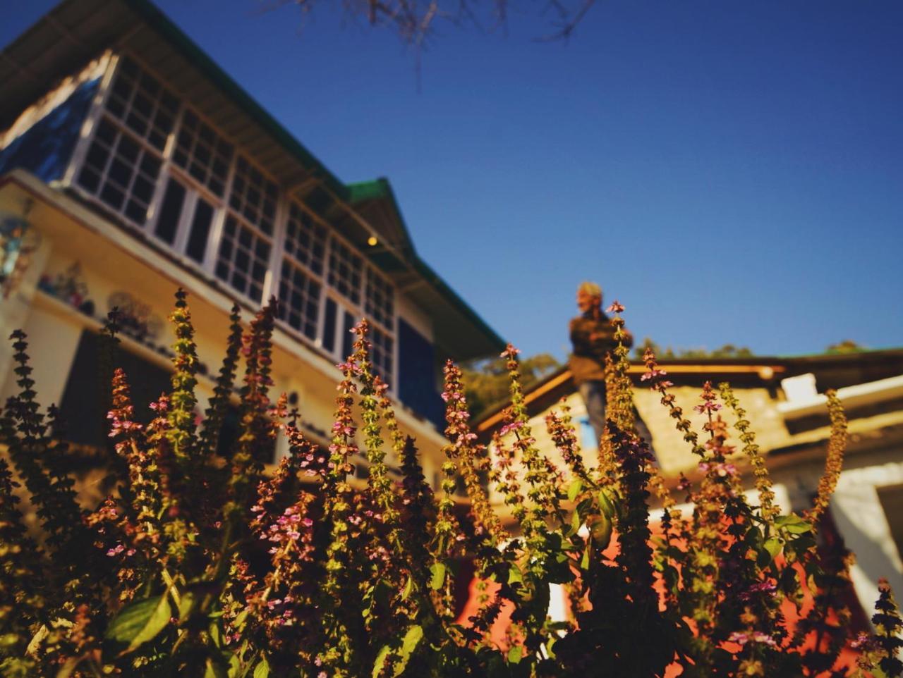 Vista Hostel Jeolikote, Nainital Patwa Dunga Exterior foto